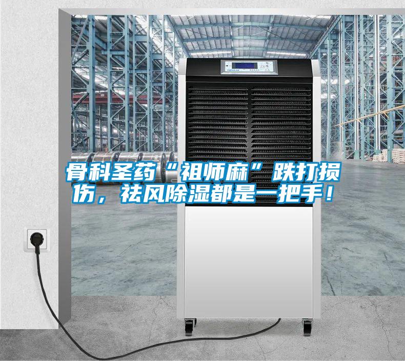骨科圣藥“祖師麻”跌打損傷，祛風(fēng)除濕都是一把手！
