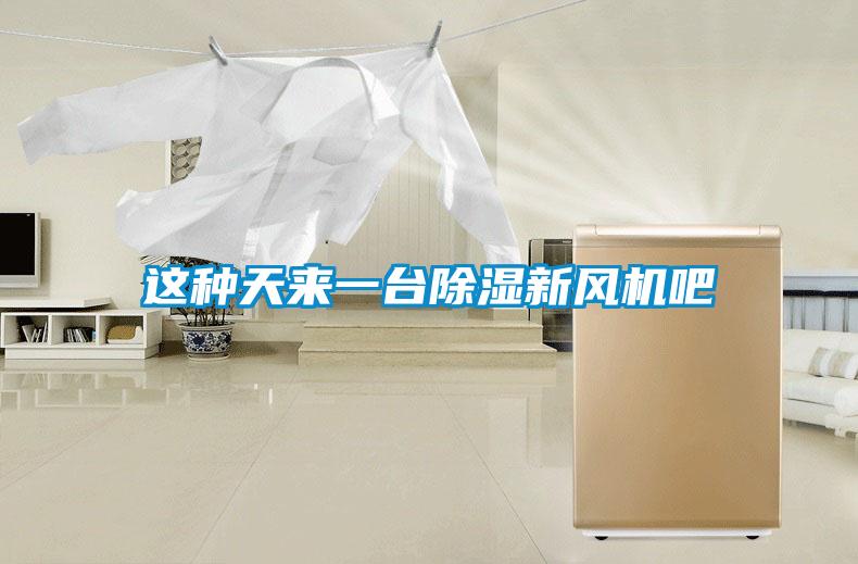 這種天來(lái)一臺除濕新風(fēng)機吧