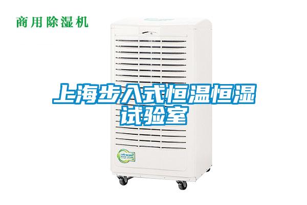 上海步入式恒溫恒濕試驗室