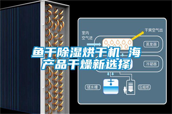 魚(yú)干除濕烘干機 海產(chǎn)品干燥新選擇