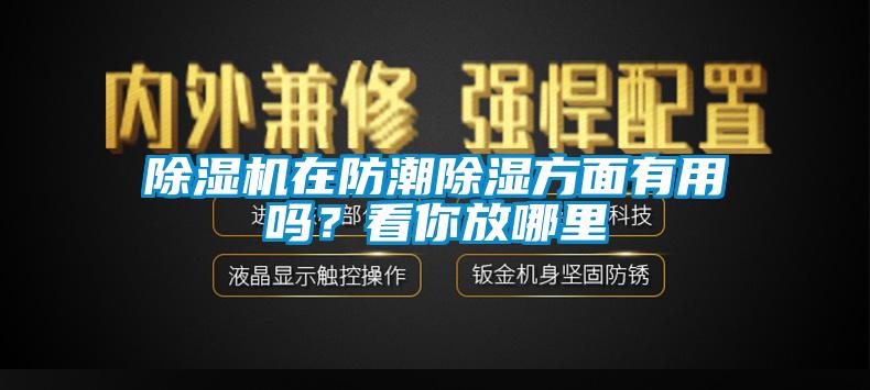 除濕機在防潮除濕方面有用嗎？看你放哪里