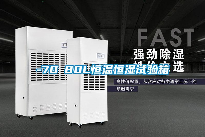 -70℃80L恒溫恒濕試驗(yàn)箱