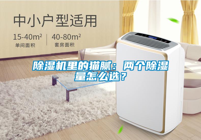 除濕機(jī)里的貓膩：兩個(gè)除濕量怎么選？