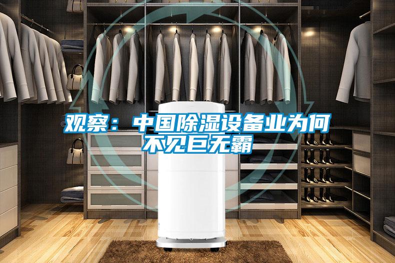 觀察：中國(guó)除濕設(shè)備業(yè)為何不見(jiàn)巨無(wú)霸