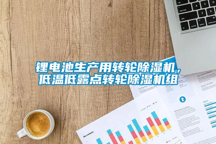 鋰電池生產(chǎn)用轉輪除濕機，低溫低露點(diǎn)轉輪除濕機組