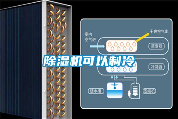 除濕機(jī)可以制冷