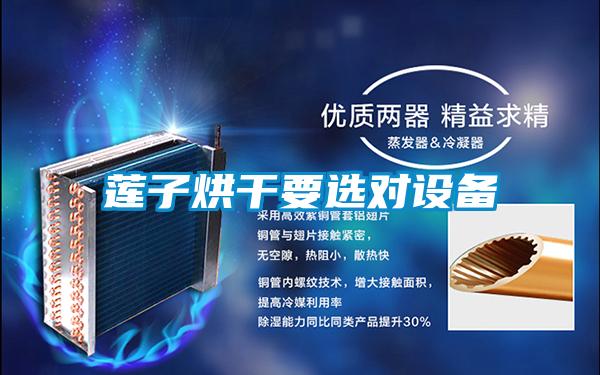 蓮子烘干要選對(duì)設(shè)備