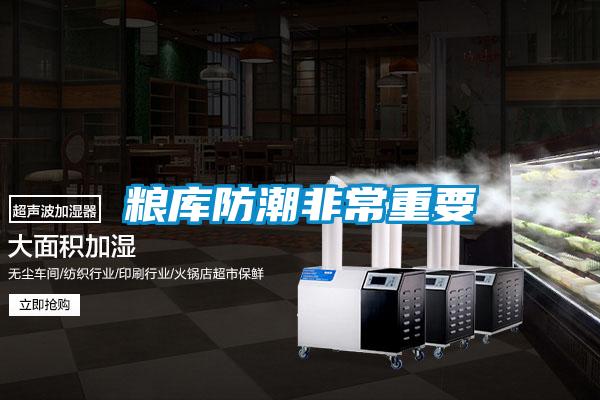 糧庫(kù)防潮非常重要