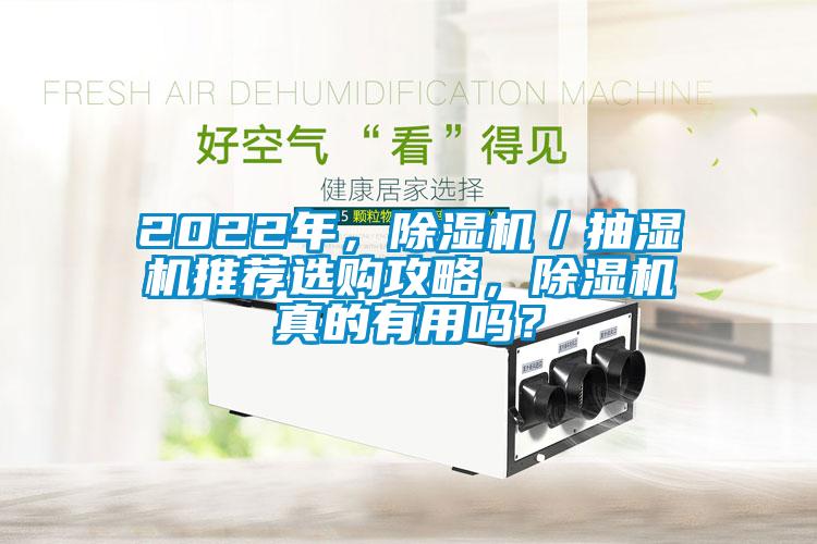 2022年，除濕機／抽濕機推薦選購攻略，除濕機真的有用嗎？