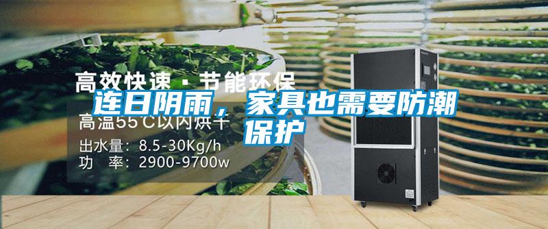 連日陰雨，家具也需要防潮保護