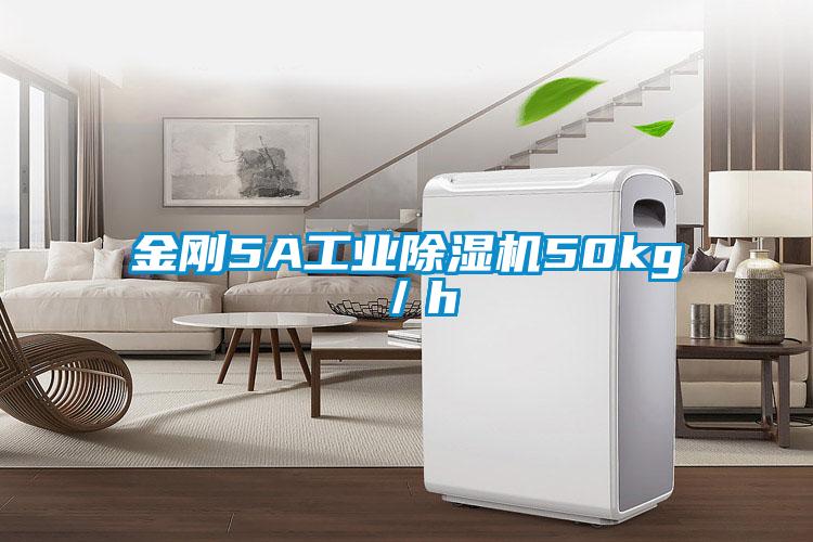 金剛5A工業(yè)除濕機50kg／h