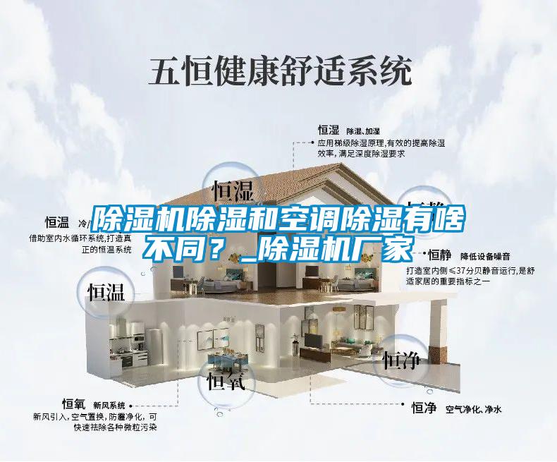 除濕機除濕和空調除濕有啥不同？_除濕機廠(chǎng)家