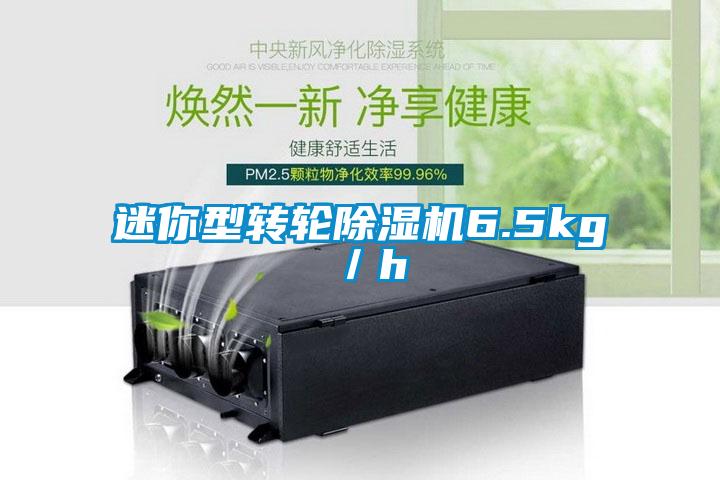 迷你型轉(zhuǎn)輪除濕機(jī)6.5kg／h
