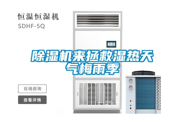 除濕機來(lái)拯救濕熱天氣梅雨季
