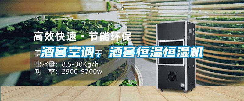 酒窖空調(diào)，酒窖恒溫恒濕機(jī)