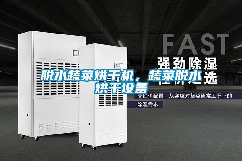 脫水蔬菜烘干機，蔬菜脫水烘干設備