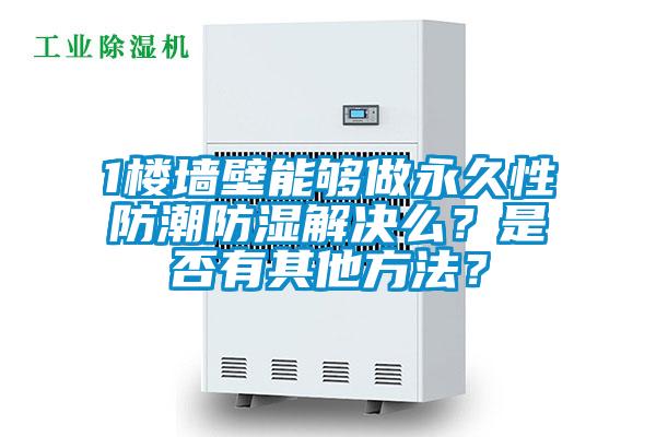 1樓墻壁能夠做永久性防潮防濕解決么？是否有其他方法？