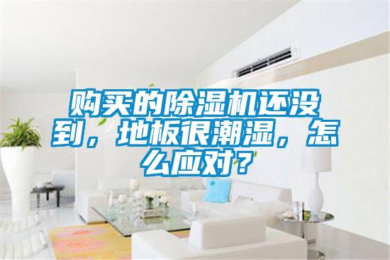 購(gòu)買的除濕機(jī)還沒到，地板很潮濕，怎么應(yīng)對(duì)？