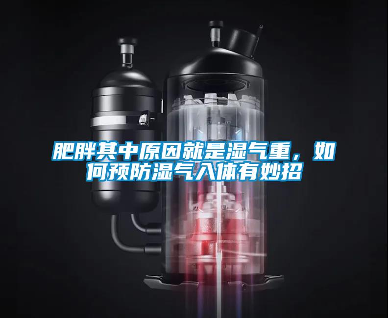 肥胖其中原因就是濕氣重，如何預(yù)防濕氣入體有妙招