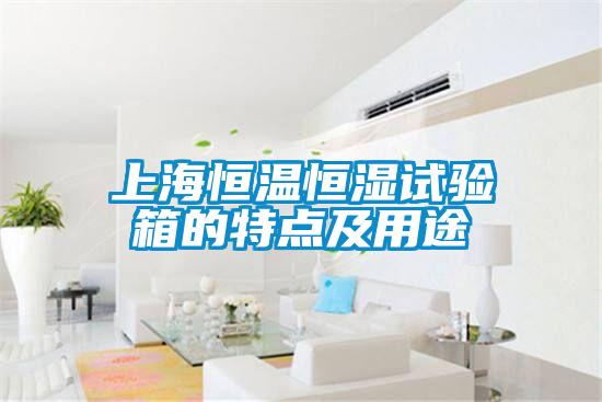 上海恒溫恒濕試驗箱的特點(diǎn)及用途