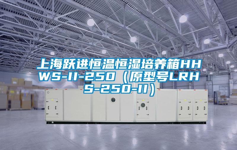 上海躍進(jìn)恒溫恒濕培養箱HHWS-II-250（原型號LRHS-250-II）