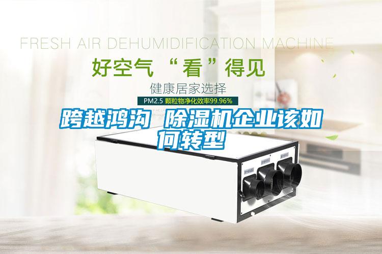 跨越鴻溝 除濕機企業(yè)該如何轉型