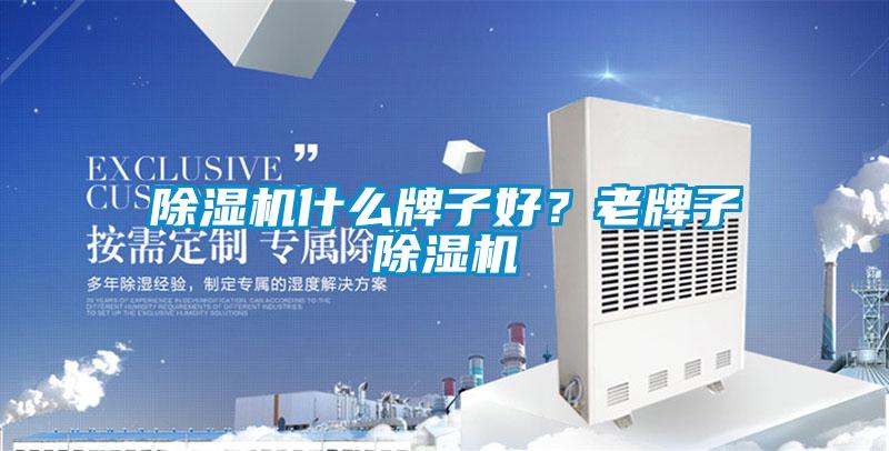 除濕機什么牌子好？老牌子除濕機