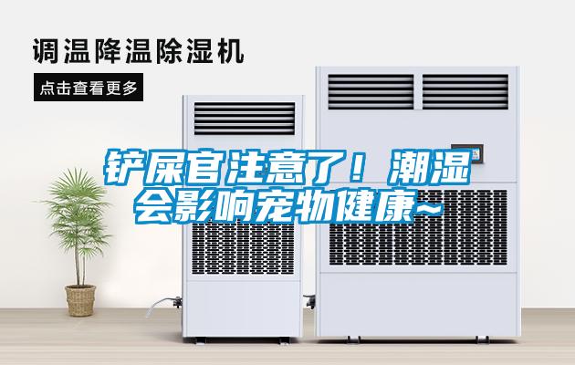 鏟屎官注意了！潮濕會(huì )影響寵物健康~