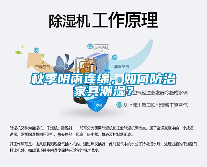 秋季陰雨連綿，如何防治家具潮濕？