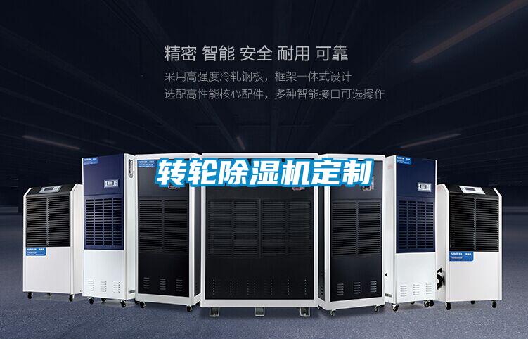 轉輪除濕機定制