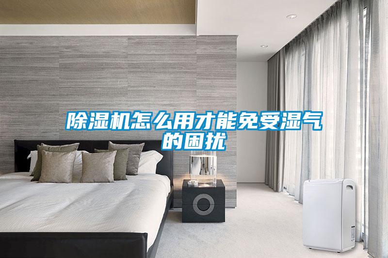 除濕機怎么用才能免受濕氣的困擾