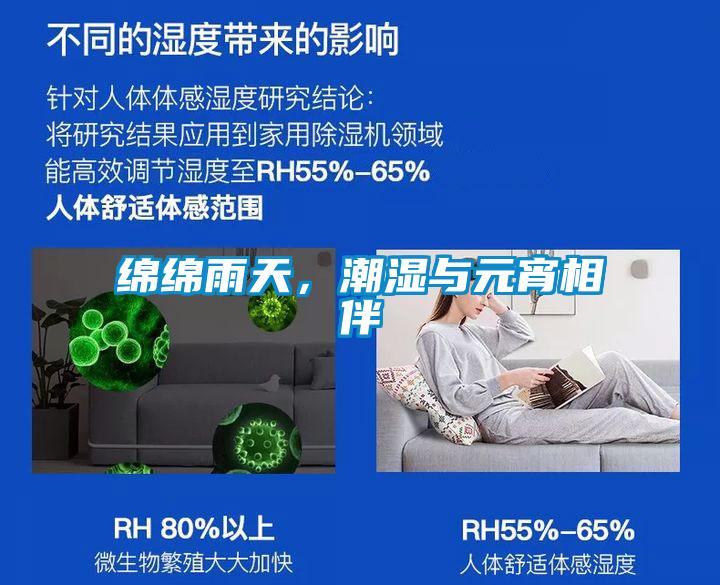 綿綿雨天，潮濕與元宵相伴