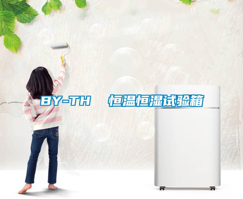 BY-TH  恒溫恒濕試驗(yàn)箱
