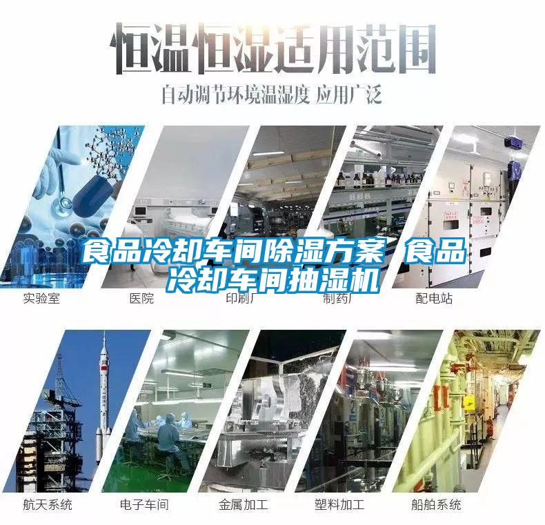 食品冷卻車(chē)間除濕方案 食品冷卻車(chē)間抽濕機