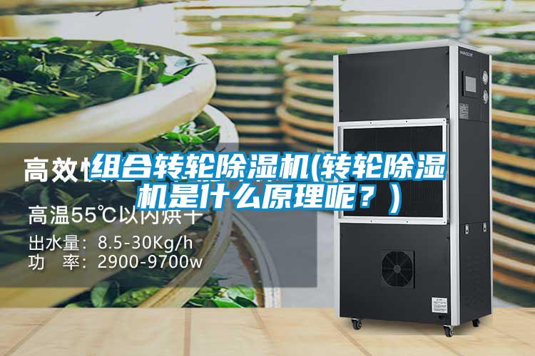 組合轉輪除濕機(轉輪除濕機是什么原理呢？)