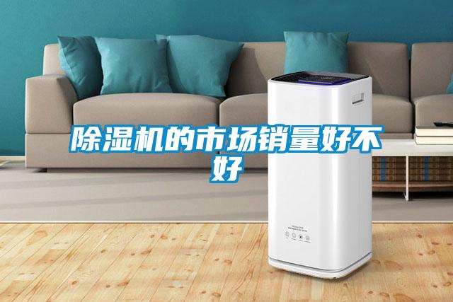 除濕機(jī)的市場銷量好不好