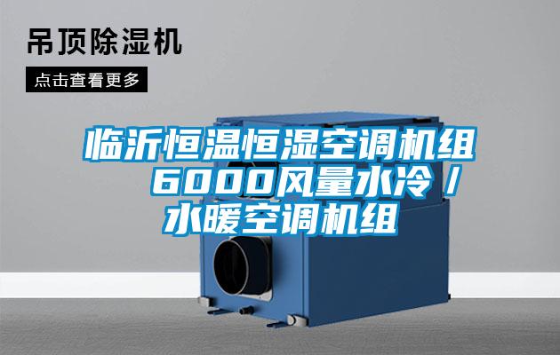 臨沂恒溫恒濕空調機組  6000風(fēng)量水冷／水暖空調機組