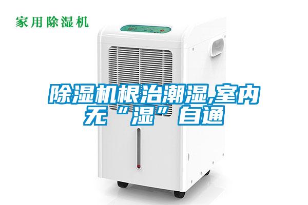 除濕機根治潮濕,室內(nèi)無“濕”自通