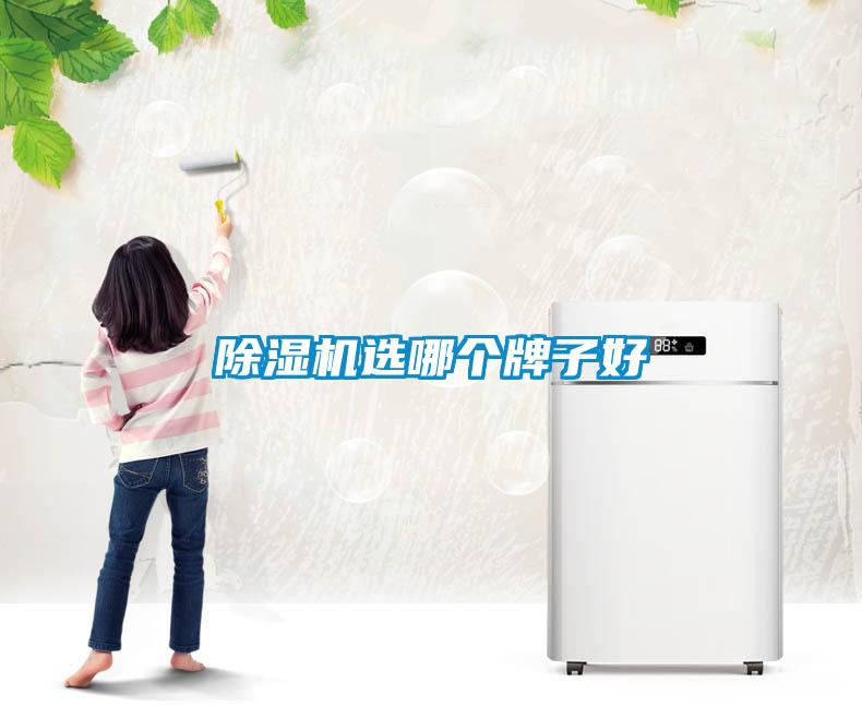 除濕機選哪個(gè)牌子好