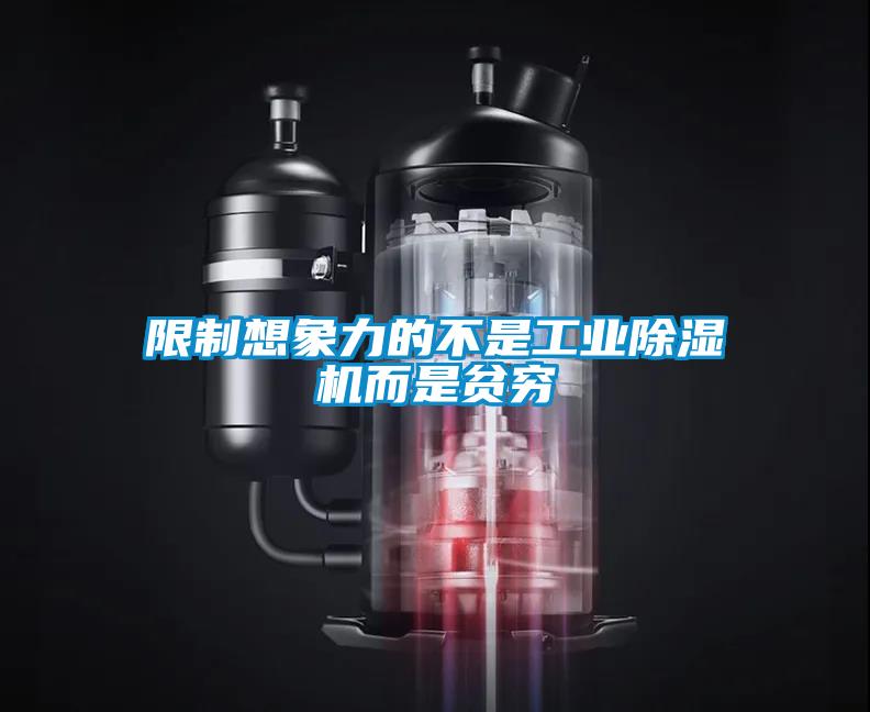 限制想象力的不是工業(yè)除濕機而是貧窮