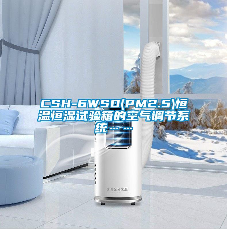 CSH-6WSD(PM2.5)恒溫恒濕試驗箱的空氣調(diào)節(jié)系統(tǒng)……