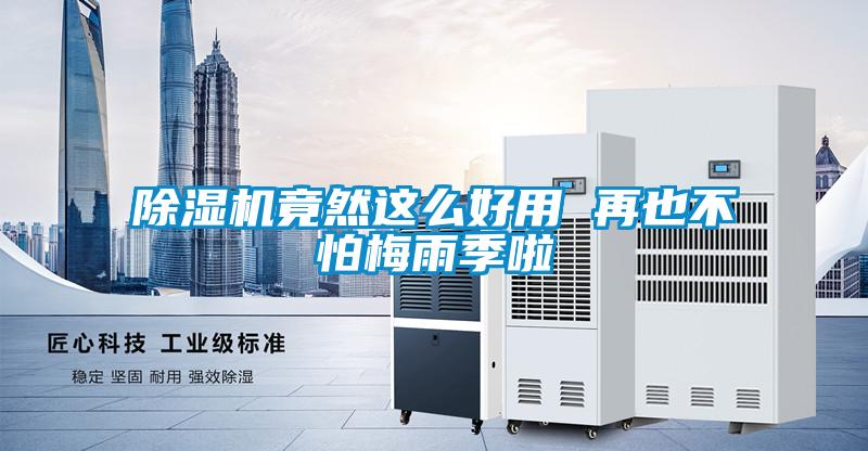 除濕機竟然這么好用 再也不怕梅雨季啦