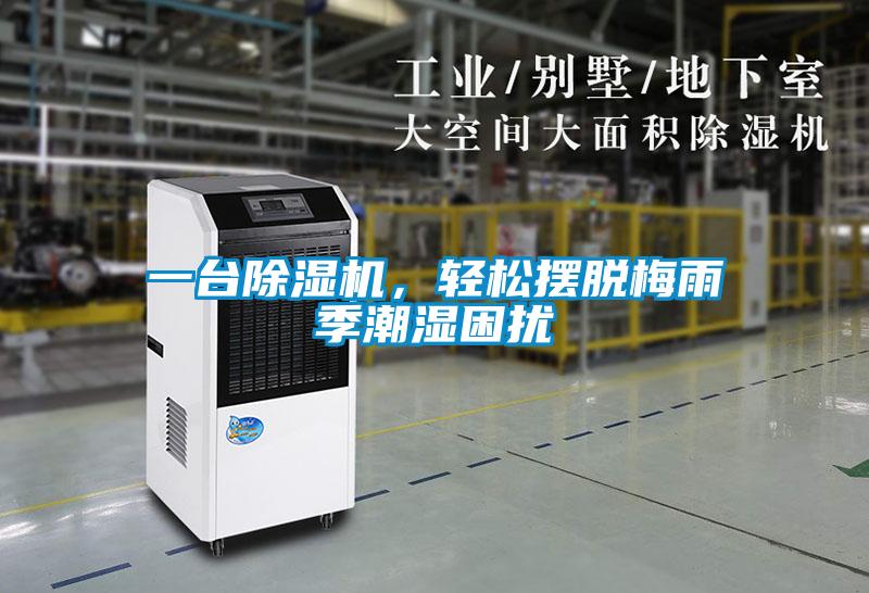 一臺除濕機，輕松擺脫梅雨季潮濕困擾