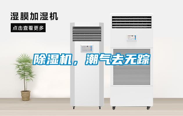 除濕機，潮氣去無(wú)蹤