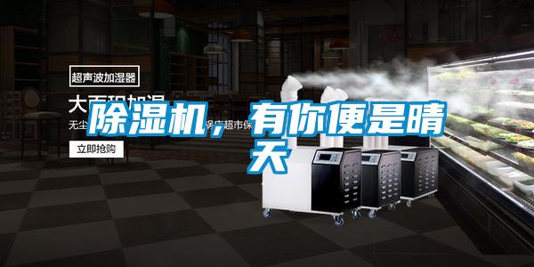 除濕機(jī)，有你便是晴天
