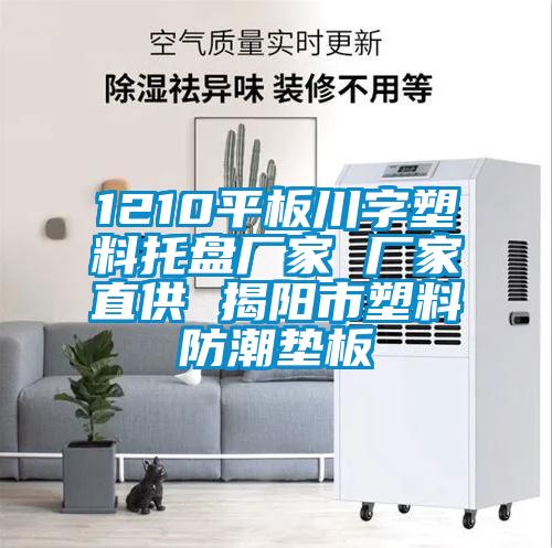 1210平板川字塑料托盤(pán)廠(chǎng)家 廠(chǎng)家直供 揭陽(yáng)市塑料防潮墊板