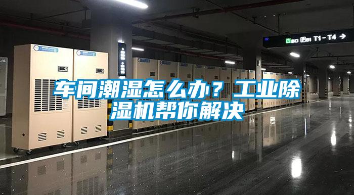 車間潮濕怎么辦？工業(yè)除濕機(jī)幫你解決