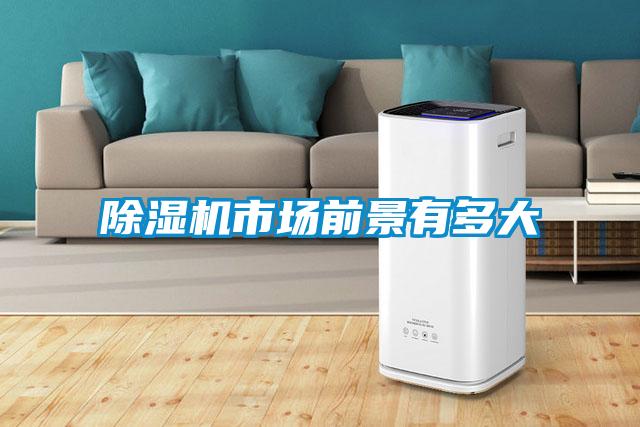 除濕機市場(chǎng)前景有多大