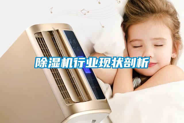 除濕機行業(yè)現狀剖析