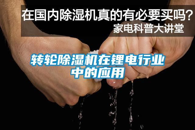 轉輪除濕機在鋰電行業(yè)中的應用